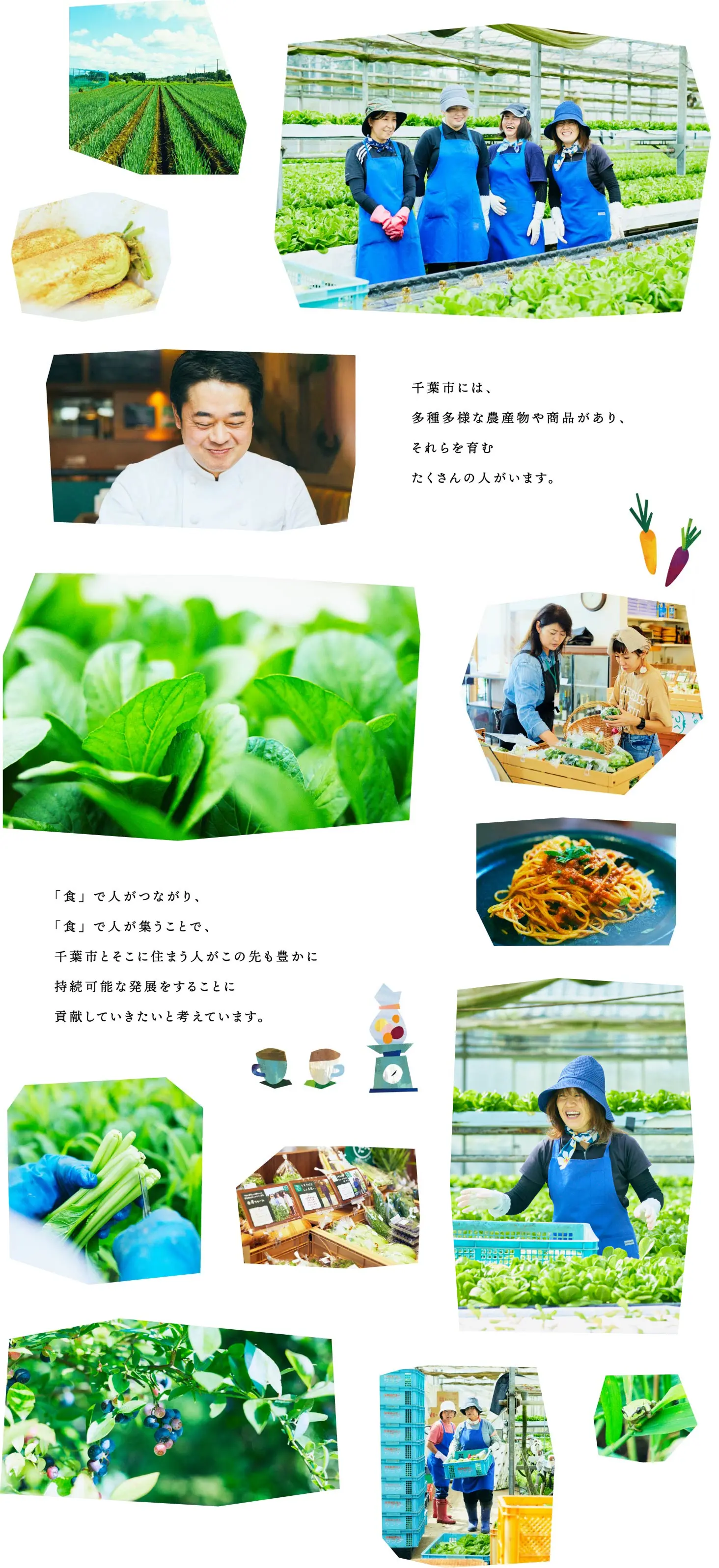 千葉市には、多種多少な農産物や商品があり、それを育むたくさんの人がいます。「食」で人がつながり、「食」で人が集うことで、千葉市とそこに住まう人がこの先も豊かに持続可能な発展をすることに貢献していきたいと考えています。