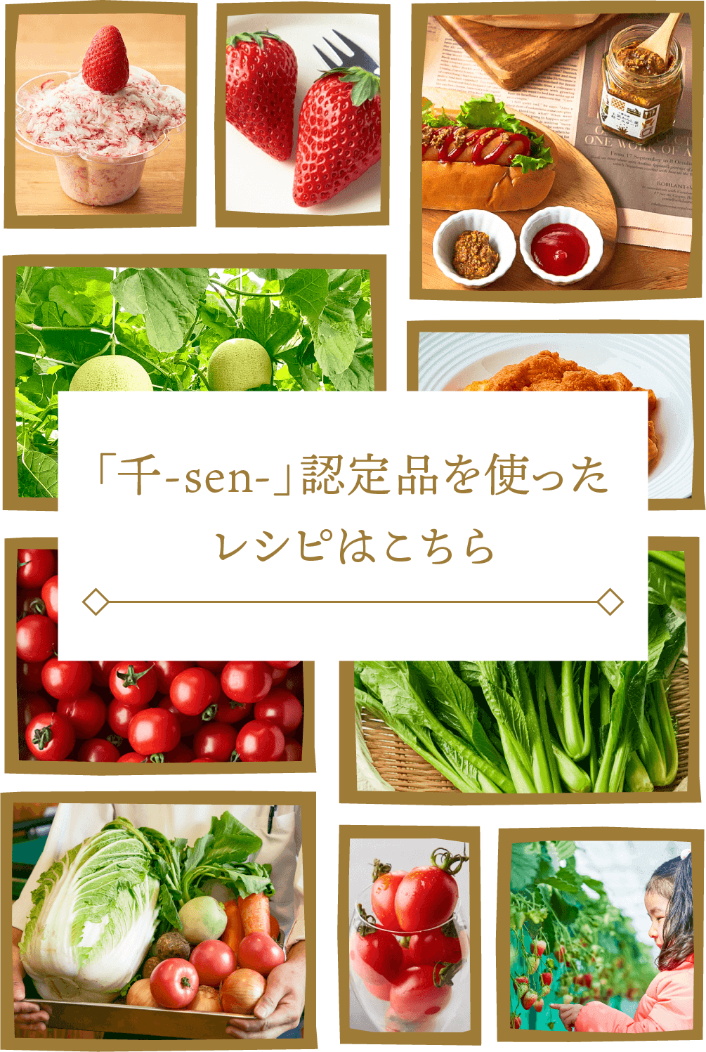 「千-sen-」認定品を使ったレシピはこちら